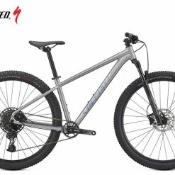 Specialized Rockhopper Expert 29 Satin Silver Dust / Black Holographic